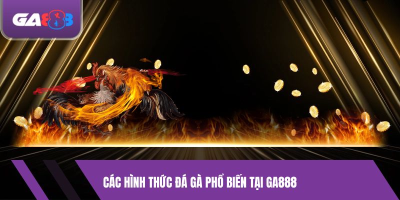 Các hình thức đá gà phổ biến tại GA888