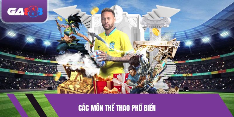 Các môn thể thao phổ biến