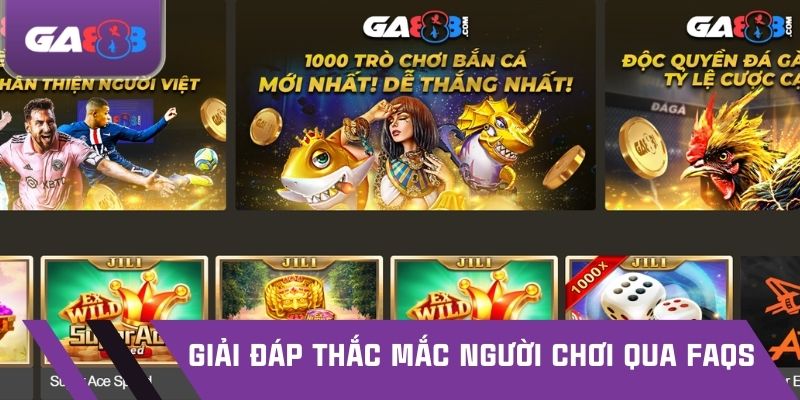Giải đáp thắc mắc người chơi qua FAQs