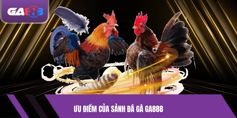 Ưu điểm của sảnh đá gà GA888